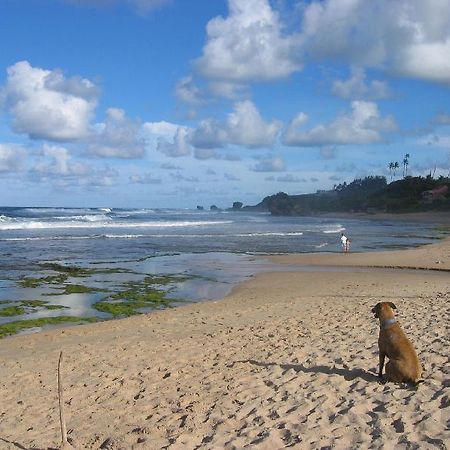 Round House Hotel Bathsheba ภายนอก รูปภาพ